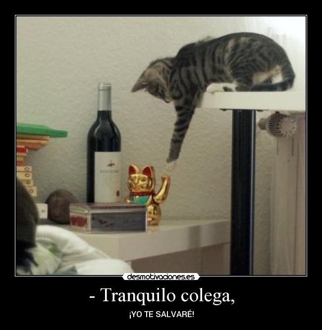 - Tranquilo colega, - ¡YO TE SALVARÉ!