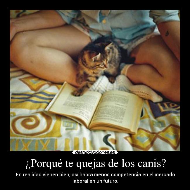 ¿Porqué te quejas de los canis? - 