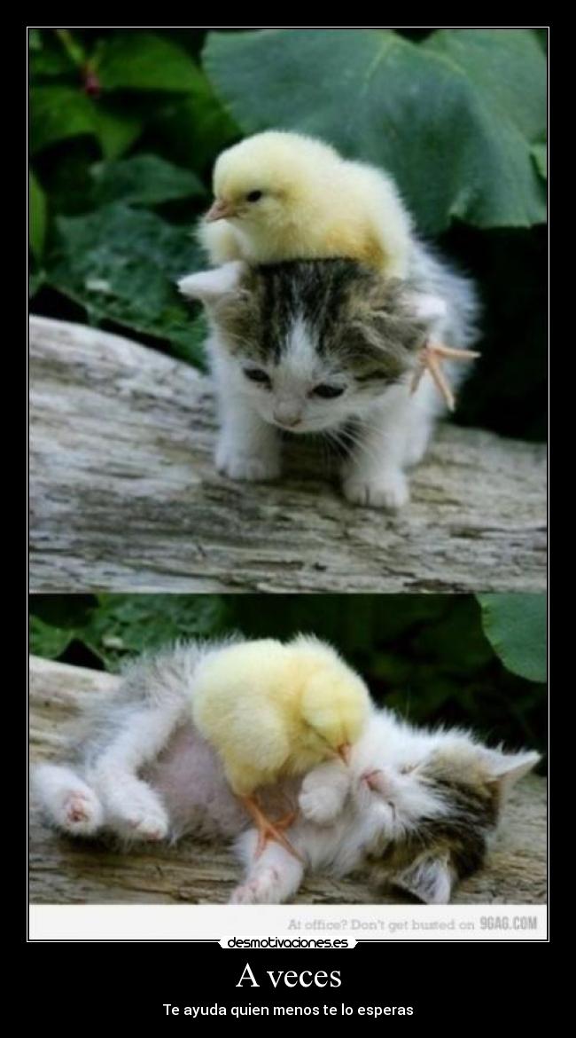 A veces - Te ayuda quien menos te lo esperas