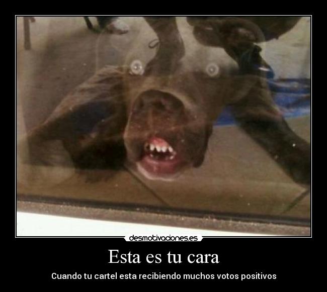 Esta es tu cara - Cuando tu cartel esta recibiendo muchos votos positivos
