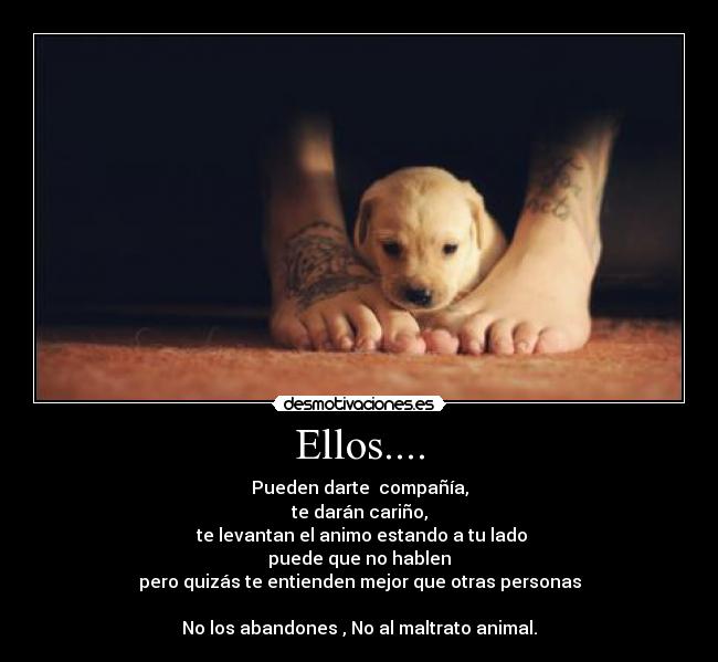 Ellos.... - Pueden darte compañía,
te darán cariño,
te levantan el animo estando a tu lado
puede que no hablen
pero quizás te entienden mejor que otras personas
No los abandones , No al maltrato animal.
