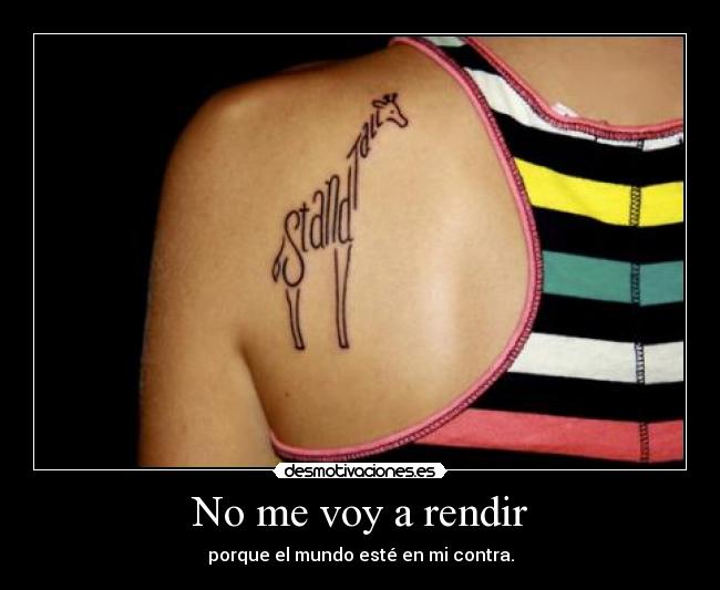 No me voy a rendir - 