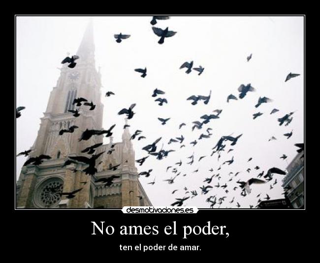 carteles nosemeocurrenetiquetas asique muuu muuu hace vaca desmotivaciones