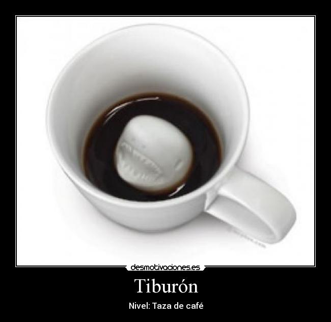 Tiburón - Nivel: Taza de café