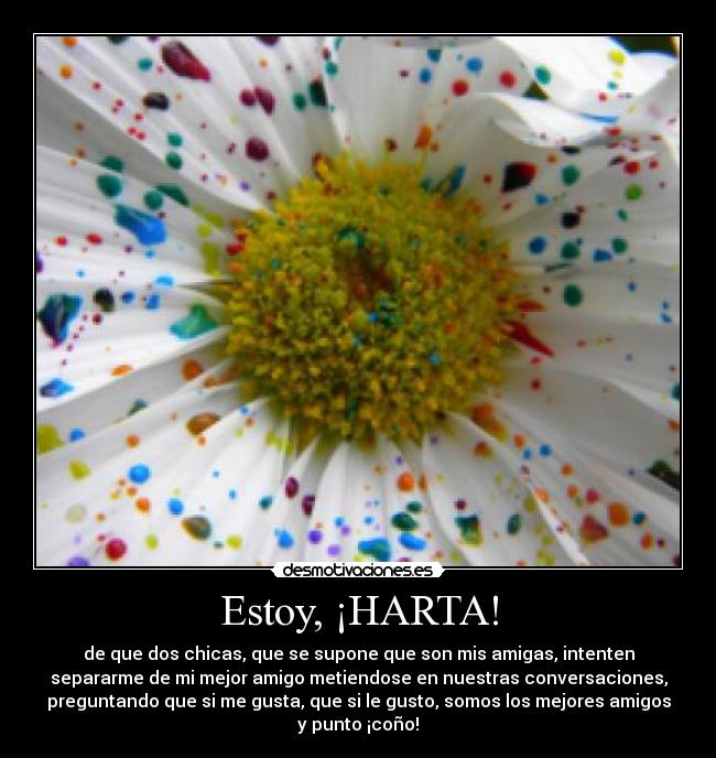 Estoy, ¡HARTA! - de que dos chicas, que se supone que son mis amigas, intenten
separarme de mi mejor amigo metiendose en nuestras conversaciones,
preguntando que si me gusta, que si le gusto, somos los mejores amigos
y punto ¡coño!