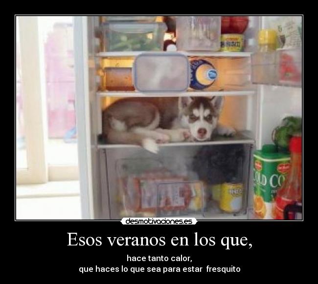 Esos veranos en los que, -