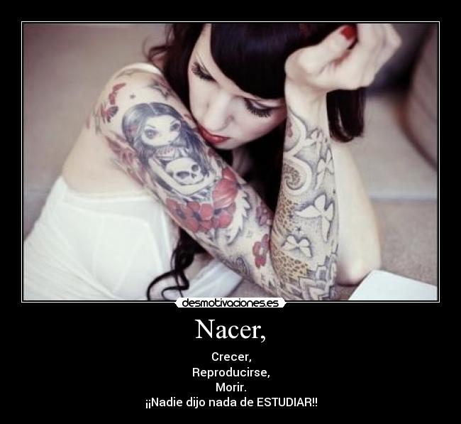 Nacer, - Crecer,
Reproducirse,
Morir.
¡¡Nadie dijo nada de ESTUDIAR!!