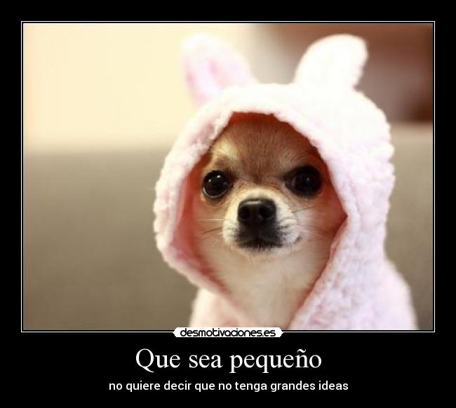 Que sea pequeño - 