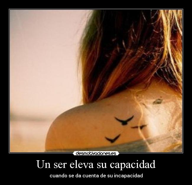 Un ser eleva su capacidad - 