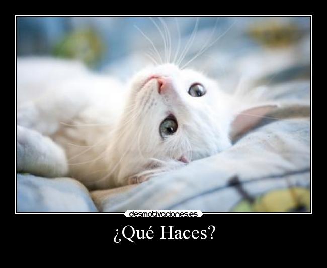 ¿Qué Haces? -