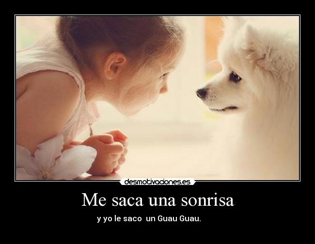 carteles sonrisa saca desmotivaciones