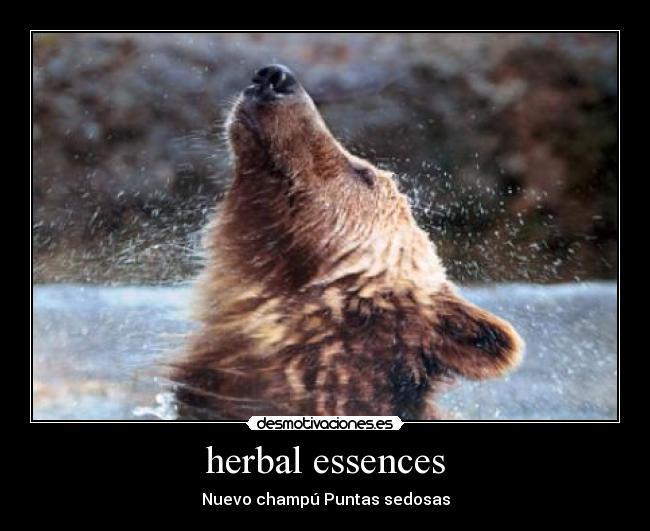 herbal essences - Nuevo champú Puntas sedosas