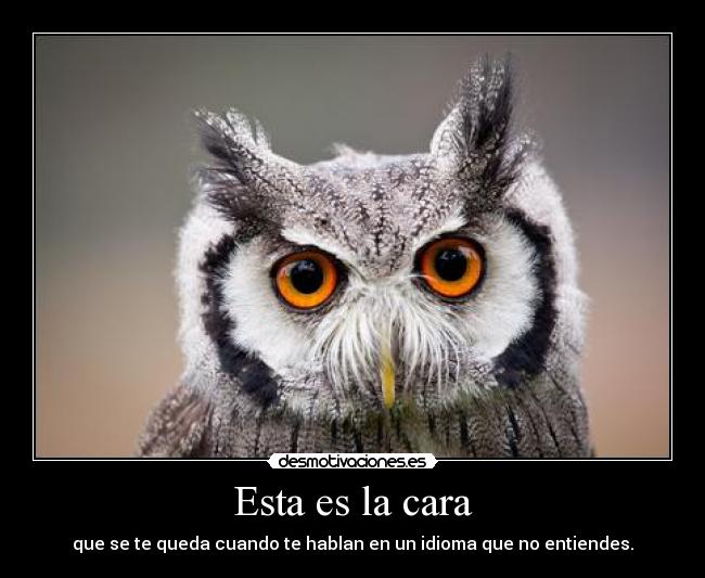 Esta es la cara - que se te queda cuando te hablan en un idioma que no entiendes.