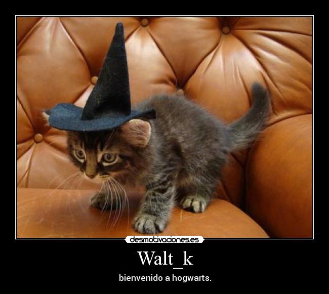 Walt_k - bienvenido a hogwarts.
