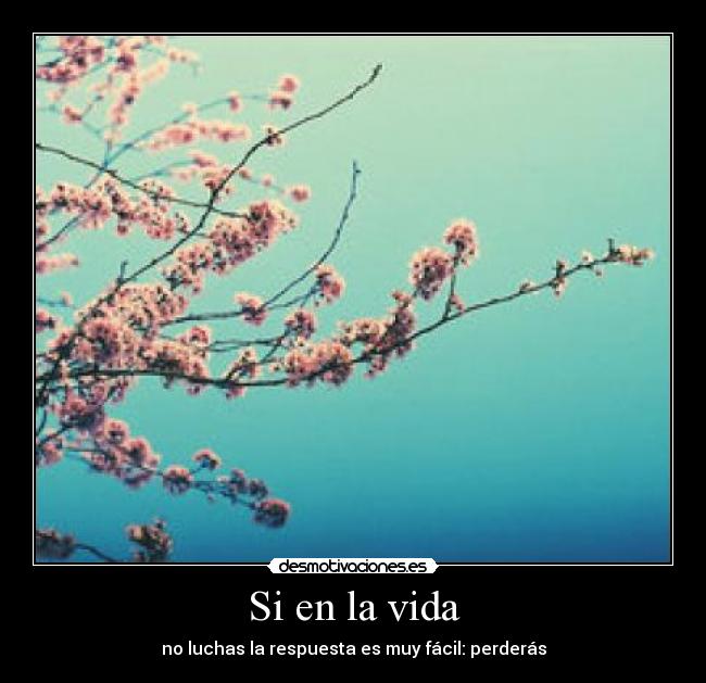 Si en la vida - no luchas la respuesta es muy fácil: perderás