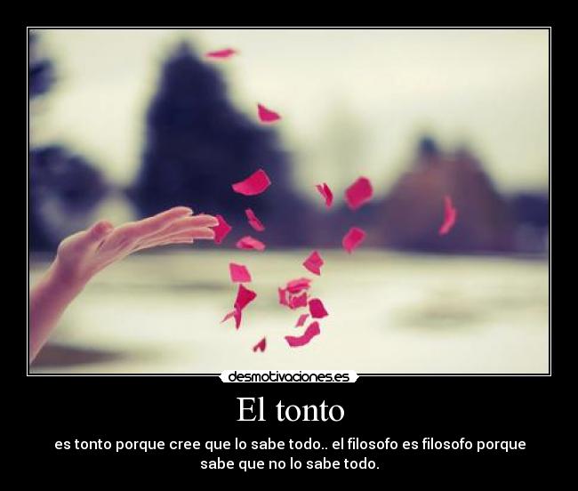 El tonto - 