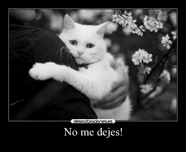 No me dejes! -