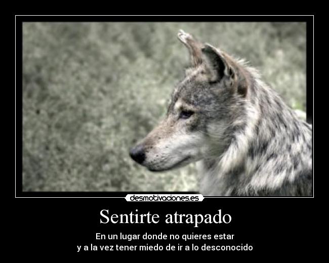 Sentirte atrapado - En un lugar donde no quieres estar
y a la vez tener miedo de ir a lo desconocido