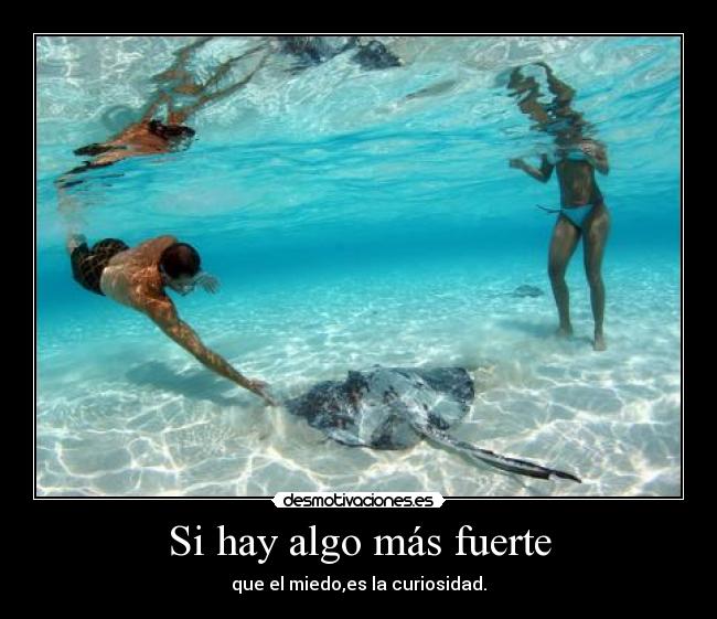 Si hay algo más fuerte - que el miedo,es la curiosidad.