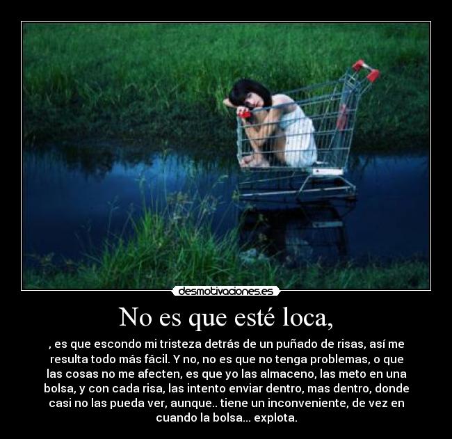 carteles yajaira desmotivaciones