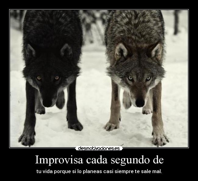 Improvisa cada segundo de - tu vida porque si lo planeas casi siempre te sale mal.
