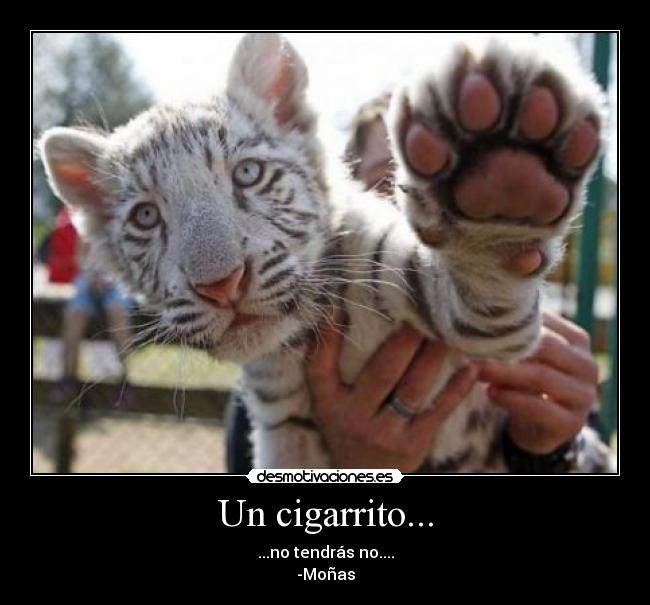 Un cigarrito... -