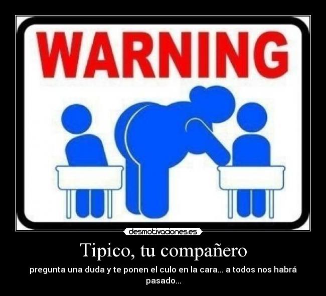 Tipico, tu compañero - 