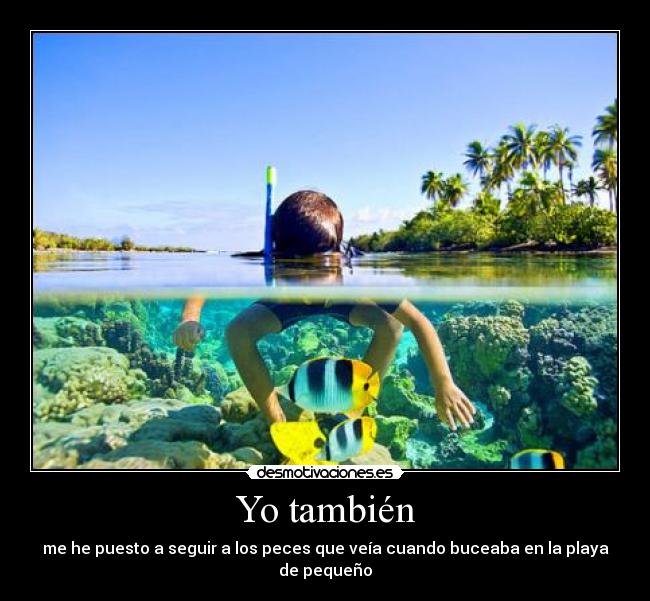 Yo también - me he puesto a seguir a los peces que veía cuando buceaba en la playa de pequeño