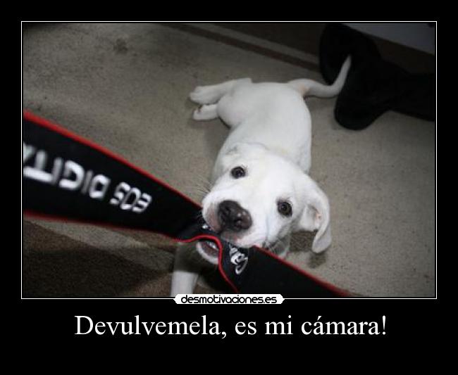 Devulvemela, es mi cámara! -