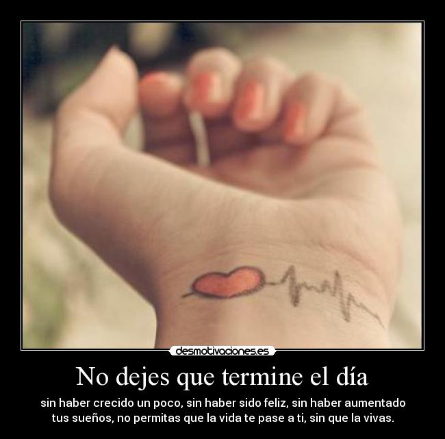 carteles vive vida amor demostivaciones suenos amigos princiupal desmotivaciones