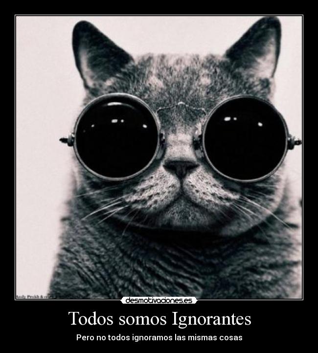 Todos somos Ignorantes - 