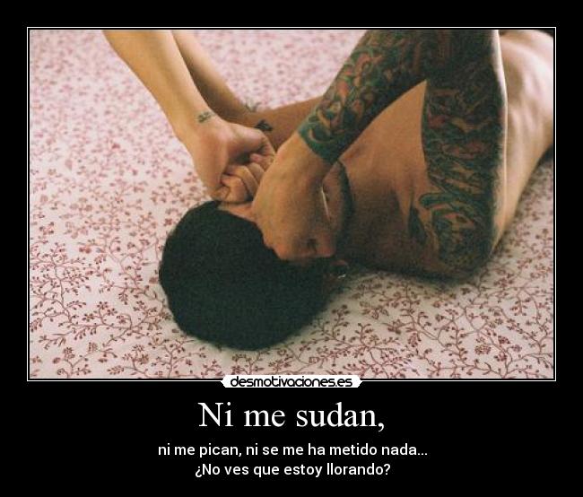 Ni me sudan, - ni me pican, ni se me ha metido nada...
¿No ves que estoy llorando?