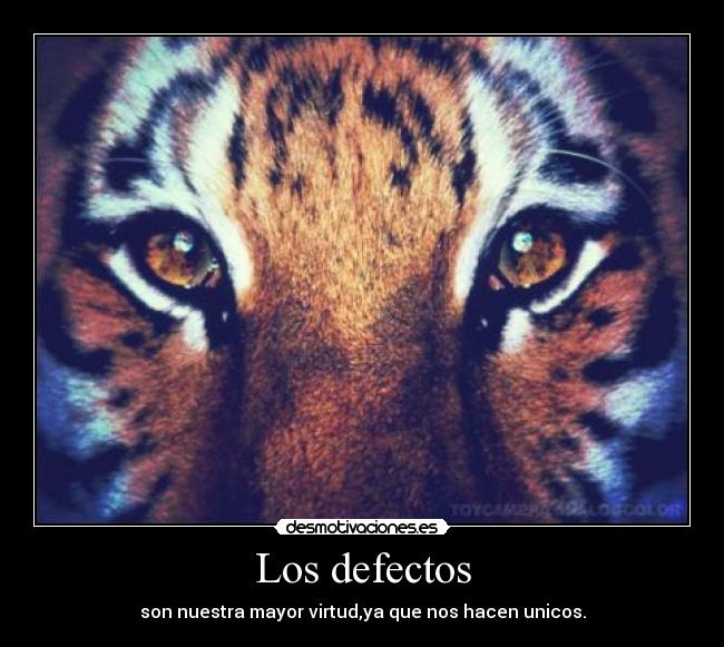 Los defectos -