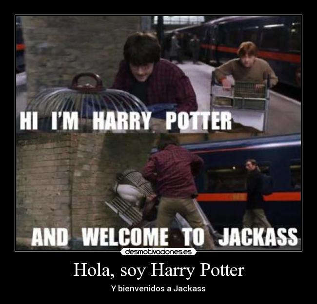 Hola, soy Harry Potter -
