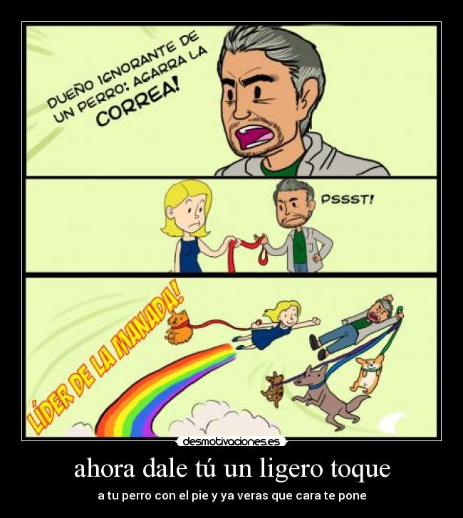 ahora dale tú un ligero toque - a tu perro con el pie y ya veras que cara te pone