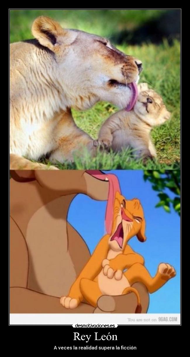 Rey León - A veces la realidad supera la ficción