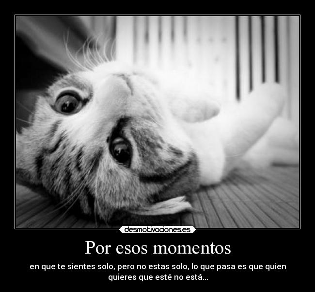 Por esos momentos - en que te sientes solo, pero no estas solo, lo que pasa es que quien
quieres que esté no está...