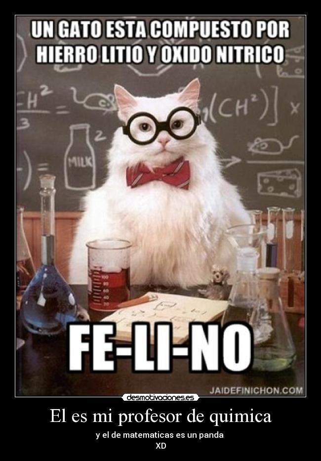 El es mi profesor de quimica - y el de matematicas es un panda
XD