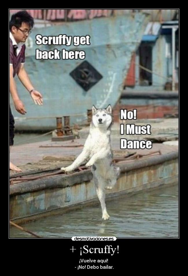 carteles mycrazyandstupidworld scruffy debe bailar para contentar duende que dice que queme cosas desmotivaciones