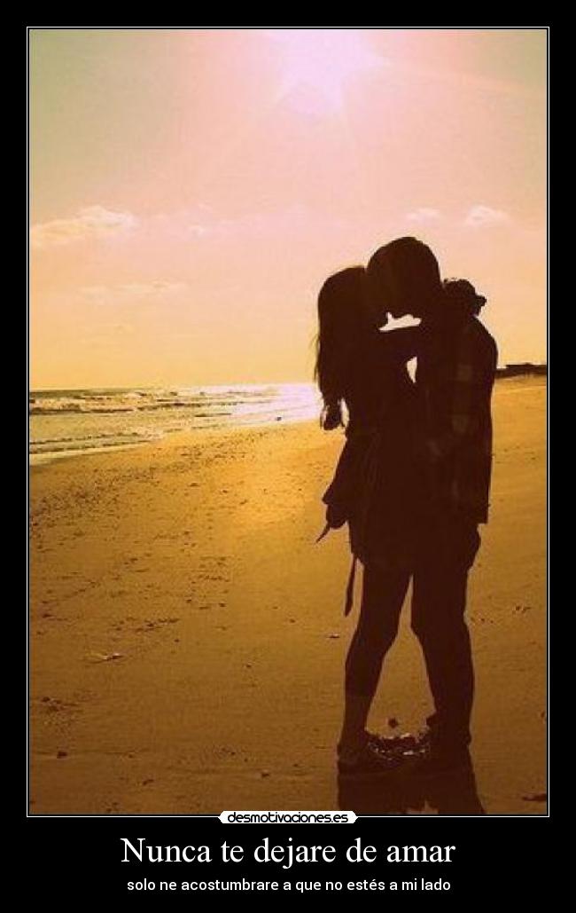 Nunca te dejare de amar - 