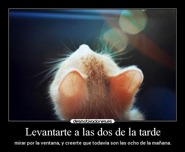 Levantarte a las dos de la tarde - mirar por la ventana, y creerte que todavía son las ocho de la mañana.