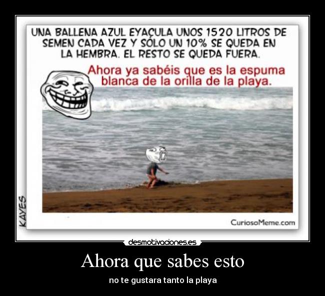 carteles ballenas desmotivaciones