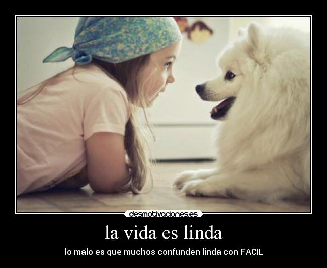 la vida es linda - lo malo es que muchos confunden linda con FACIL
