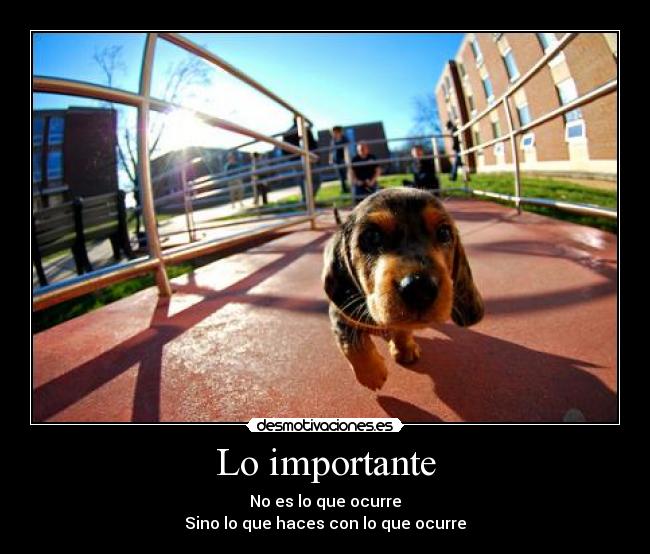 Lo importante - 