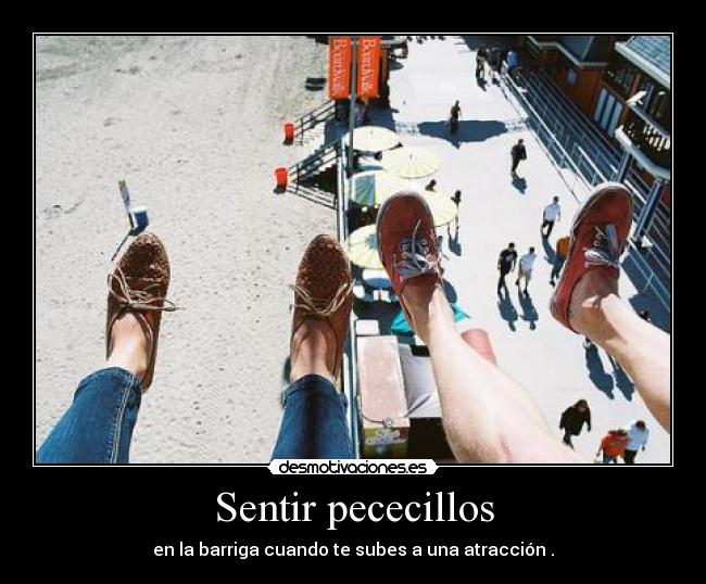 carteles esperes mas estas muriendo curiosidad desmotivaciones