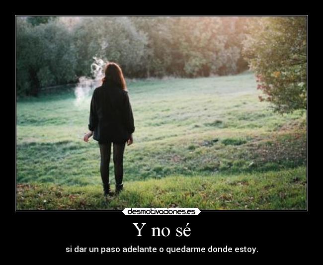carteles se dar paso adelante quedarme donde estoy desmotivaciones