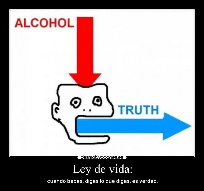 carteles vida beber alcohol mentir desmotivaciones