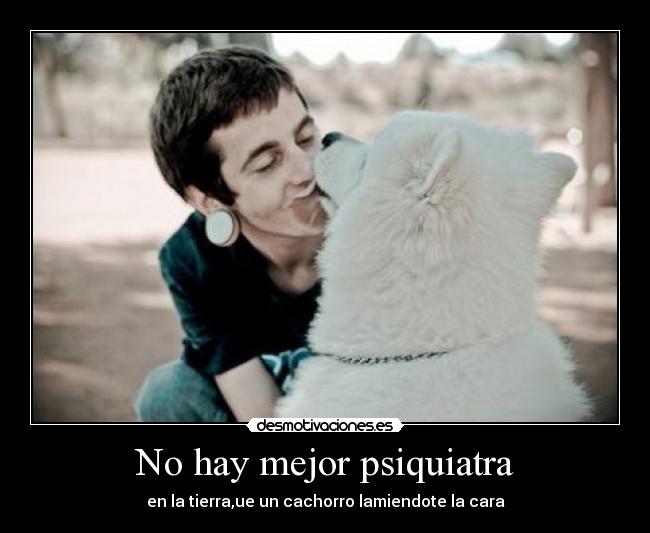 No hay mejor psiquiatra - 