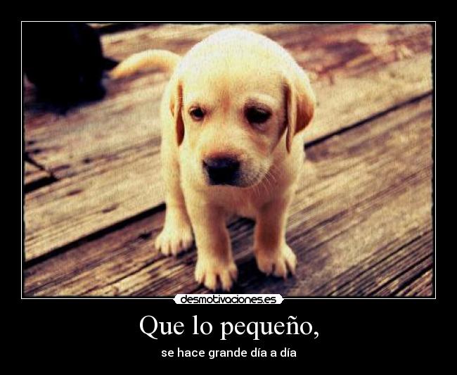 Que lo pequeño, - 