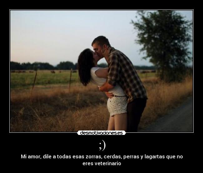 ;) - Mi amor, dile a todas esas zorras, cerdas, perras y lagartas que no eres veterinario